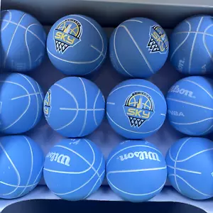 Wilson Chicago Sky 2" Mini Dribbler Basketball 24er Pack Bälle - Bild 1 von 5