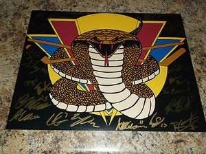 2014-15 VERNON VIPERS BCHL WHL SIGNED 11 X 14 MATTE LOGO PHOTO 21 SIGNATURES