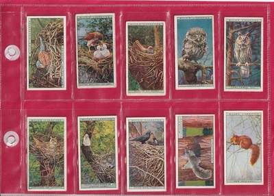 WILLS - LIFE IN THE TREETOPS-  ISSUED 1925 - 10 CARDS - HIGH NUMBERS - Image 1 of 2