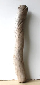 Treibholz Schwemmholz Driftwood 1 Stamm Dekoration Terrarium 49 cm - Bild 1 von 13