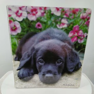 Class Act, Keith Kimberling black lab 1 Subject Ring Binder - Picture 1 of 6
