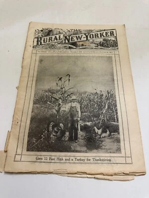 November 7 1925 The Rural New Yorker Magazine Corn and Turkey Thanksgiving - Image 1 of 4
