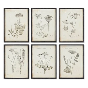 Juego de arte de pared botánico - Estudio de flores silvestres vintage, 6 piezas - Imagen 1 de 3