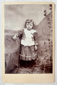 Cabinet Card Studio Portrait Serious Child Painted Countryside Backdrop - Picture 1 of 2