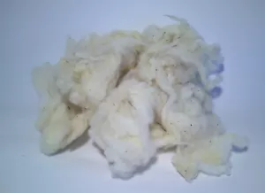 *SELLING PER 100g* Raw unwashed sheep wool Cream White fleece spin felt craft - Picture 1 of 1