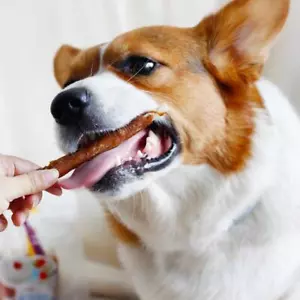 110 g pollo avvolto a scatti manzo torsioni masticazione snack dolcetti NUOVO pelle grezza animale domestico D5T5 - Foto 1 di 12