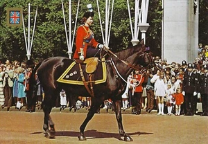 AK Queen Elizabeth II Trooping the Colour Welsh Guard Hackle 1965 NrMINT - Bild 1 von 1