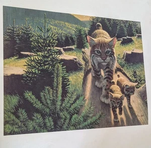 Stan Galli Original Lithographie 22,5” x 20” Katzen 60er Jahre California Illustrator - Bild 1 von 3
