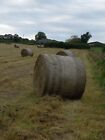 Horse Hay and Haylage large 4ft wrapped round bales DISCOUNTS FOR BULK BUY 
