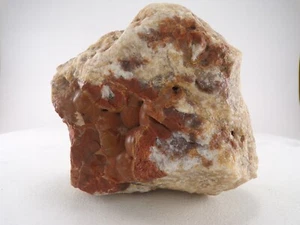 4 Inch Red Botroydial Chalcedony Geode Specimen 1.2 lbs Rough Kentucky Quartz - Bild 1 von 12