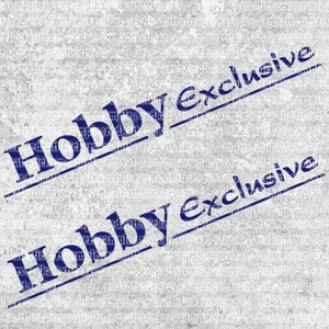 2x Hobby Exclusive Aufkleber Camper Sticker 45cm Caravan Wohnmobil ORACAL - Bild 1 von 3