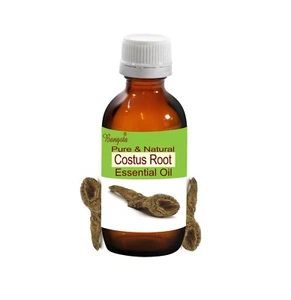 Costus Root Pure Natural Essential Oil Saussurea lappa by Bangota - Picture 1 of 4