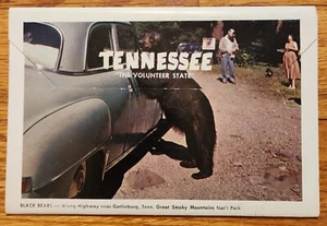 Carpeta de postales escénica de Tennessee PC - 12 postales imagen a color de los años 50 - Imagen 1 de 2