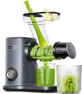AMZCHEF Kompakt Entsafter Slow Juicer Gemüse und Obst mit Zwei Zuführungsmodi