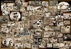 Tenyo 1000pcs JigsawPuzzle Mickey Mouse Monochrome Movie Collection (51x73.5cm)