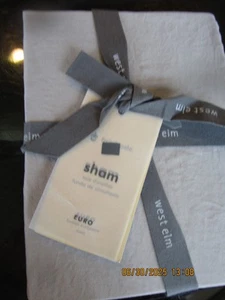 1 West Elm brushed tencel  euro sham taupe New - Picture 1 of 2