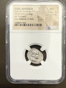 Gaul Massalia AR Drachm NGC MS 5/5 4/5 2nd-1st Centuries BC - Picture 1 of 5
