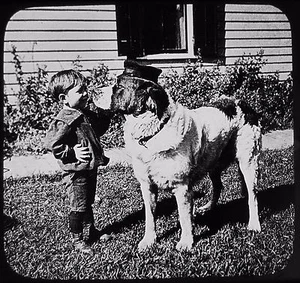 Glass Magic Lantern Slide THE RED CROSS DOG C1910 PHOTO ST BERNARD WITH BOY - Picture 1 of 2