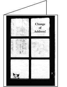 MOVING ANNOUNCEMENT-Set of 10-Change of address Greeting Card I've Moved 4519CAS
