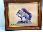 Impression de reproduction vintage 1972 Bob Haynes écureuil rouge écureuil mangeur encadrée écureuil 
