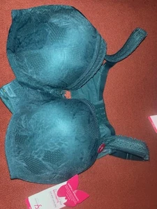 Ashley Stewart Teal Butterfly Balconette Bra, Size 42 D *Brand New* *Never Worn* - Picture 1 of 4