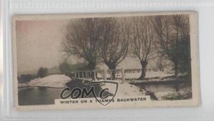 1924 Cavanders The Homeland Series Tobacco Hand-Coloured Small #20