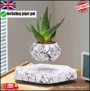 Schwebekübel | 360° drehbar | Luft Bonsai Pflanzgefäß | Büro | Zuhause - Bild 1 von 21