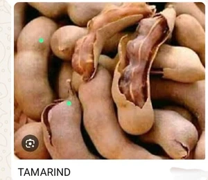 500g Fresh OrganicSour Tamarind(Tsamiya in Hausa Language)make Pap,Porridge,etc. - Picture 1 of 3