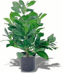 Große künstliche Monstrea Pflanze unechte Kunstpflanzen grün natürliche Optik 50cm Indoor - Bild 1 von 7