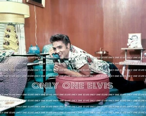 1956 ELVIS PRESLEY in MEMPHIS (PHOTO) 1034 Audubon Dr | Posing in Living Room - Picture 1 of 1