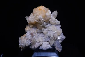 Calcite e gesso su corallo fossile / fossa di zampe, Florida / esemplare minerale - Foto 1 di 7