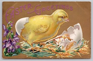 1909 Easter Greetings - Hatching Chick - Textured Gold, Purple Violets Postcard - Picture 1 of 2