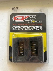 Xceldyne CV4 X2 PSIMX1906 Yamaha250 Exhaust Spring Kit 2 pcs. - Picture 1 of 2
