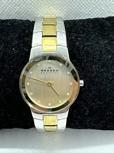 Skagen SKW2090 Women's Two Tone Stainless Steel Analog Dial Quartz Watch JNA966 - Picture 1 of 11