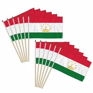 Paquete de 12 banderas de mano de campo de Tayikistán de 12x18 pulgadas - Imagen 1 de 2