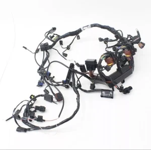 2018-2021 TRIUMPH TIGER1200 XRX/XRT Wiring Loom - T2501191 - Picture 1 of 9