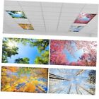 ROCEEI Pack of 4 Fluorescent Light Covers for Ceiling Lights, 4 x 2 ft, Season