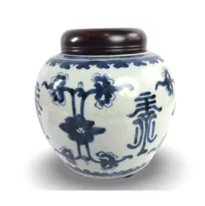 Antique Asian Long Life Ginger Jar | Qing Dynasty Circa 1736-1796 - Picture 1 of 9