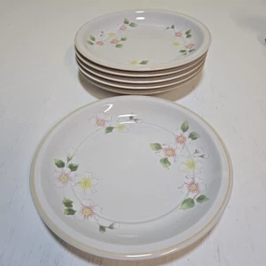 Neu Vintage 6 Diane von Furstenberg Sears Apfelblüte Salatteller Floral - Bild 1 von 5