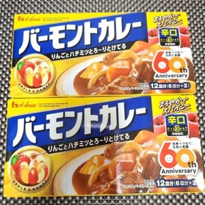 Vermont Curry Roux Hot Taste Japanese Style Curry Set 12Dishes2pac - Picture 1 of 6