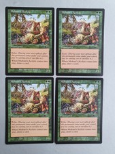 Multani's Acolyte x4 PLAYSET MTG Urza's Legacy (1999) Common Green Creature
