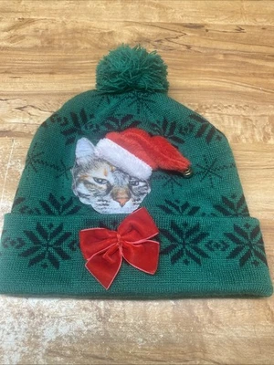 Gorro verde de Navidad con gato y sombrero rojo de Papá Noel vacaciones Foto 1 de 4