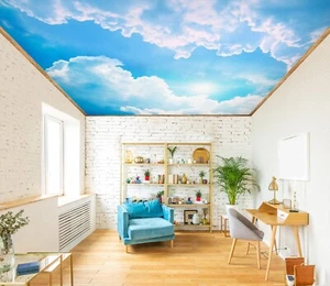 Papel pintado 3D nubes blancas H1858 techo murales mural pegatina Deco Erin 23 - Imagen 1 de 6