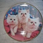 Three Fluffy White KNITTIN KITTENS Larry Grant Cat Plate Franklin Mint Knitting