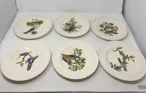 7 Rare 1940 Audubon Birds of America Bird Plates - Picture 1 of 17