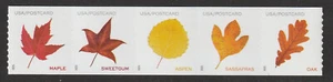US Scott 5971-5975 NEW Vibrant Leaves coil strip of 5, Scott order - Picture 1 of 1