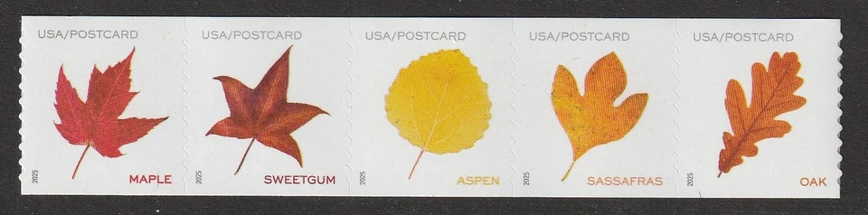 US Scott 5971-5975 NEW Vibrant Leaves coil strip of 5, Scott order - Image 1 of 1