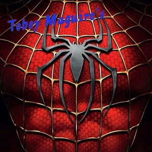 Spider-Man 3D Printed Custom Head Sculpt Unpainted Raimi's (READ DESCRIPTION) - Bild 1 von 18