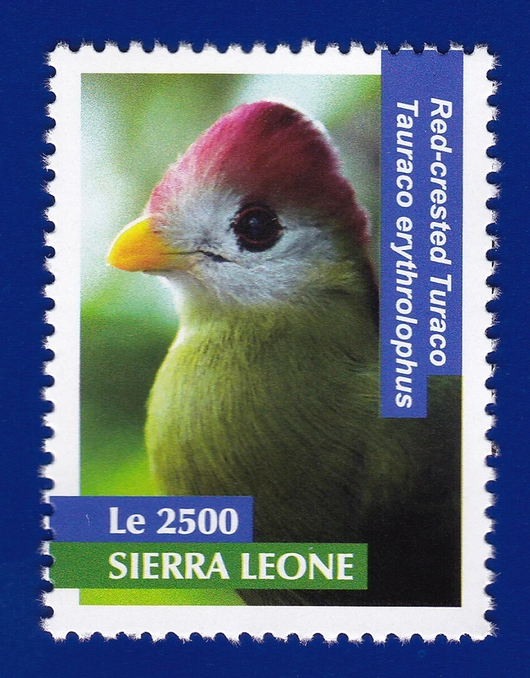 红色-CRESTED TURACO Stamp 2011 年森林 SIERRA LEONE 邮票 鸟 绿色 — 第 1/1 张图片