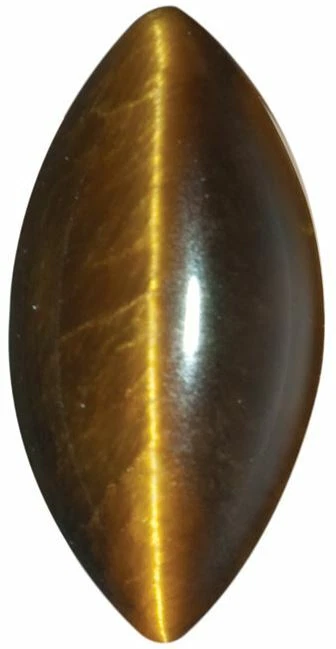Natural Fine Deep Gold Bronze Cat's Eye - Marquise Cabochon - South Africa - AAA - Image 1 of 1